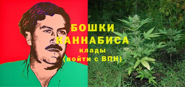PSILOCYBIN Балахна